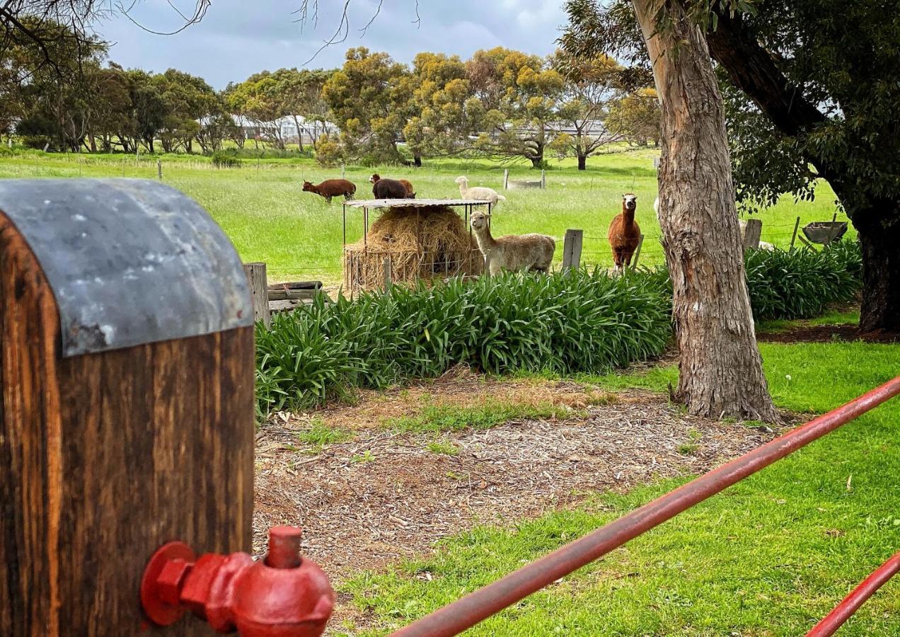 Cherry Plum Cottages Port Fairy Luaran gambar