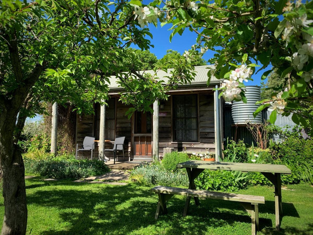 Cherry Plum Cottages Port Fairy Luaran gambar