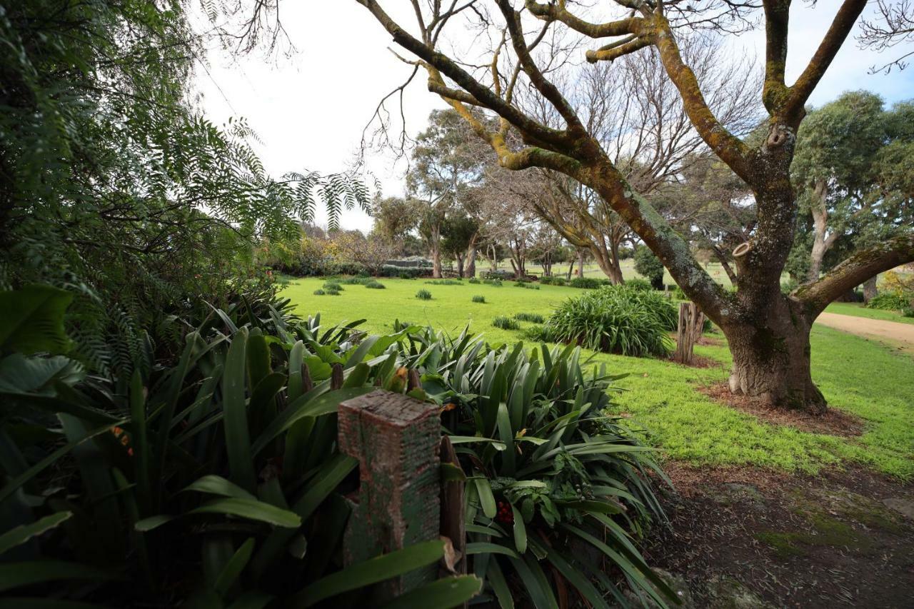 Cherry Plum Cottages Port Fairy Luaran gambar