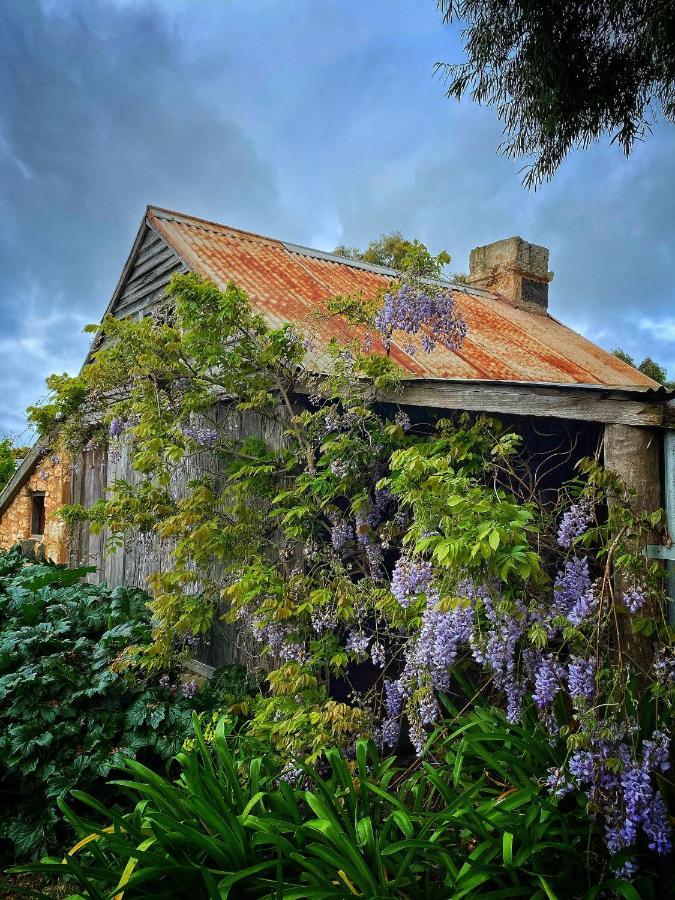 Cherry Plum Cottages Port Fairy Luaran gambar